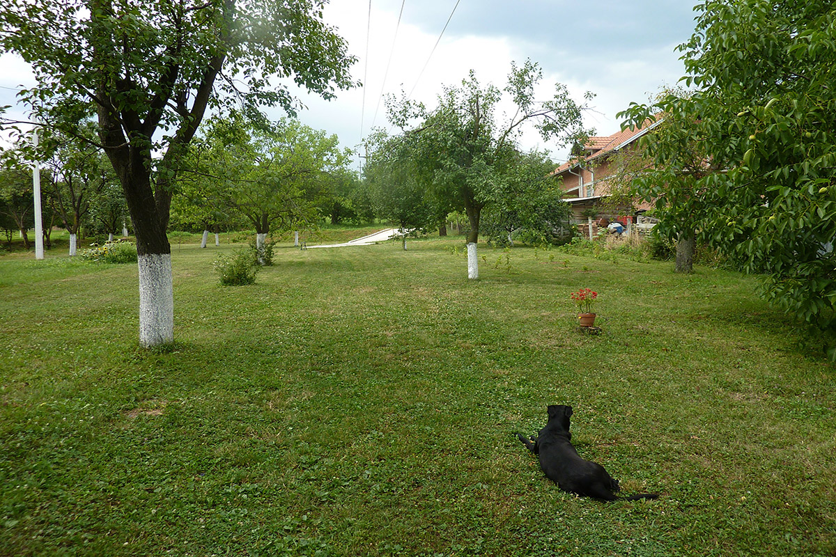 Личный опыт. Нестоличная Сербия. Дом в селе Черевич, недалеко от Нови-Сада