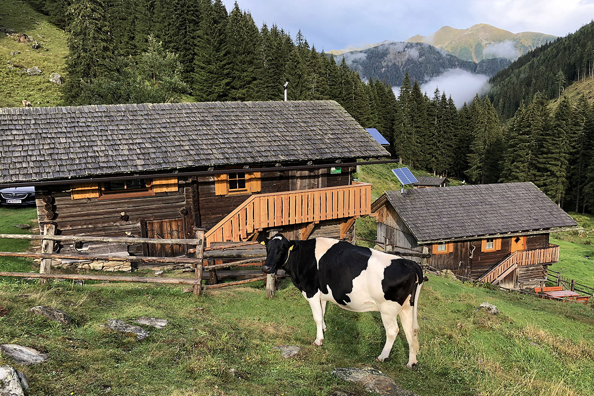 Покупка недвижимости в Австрии