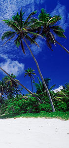 Преимущества приобретения недвижимости на Сейшельских островах