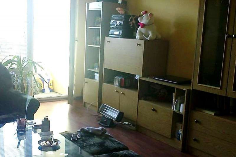 Apartment in Bulgaria, in Debelt