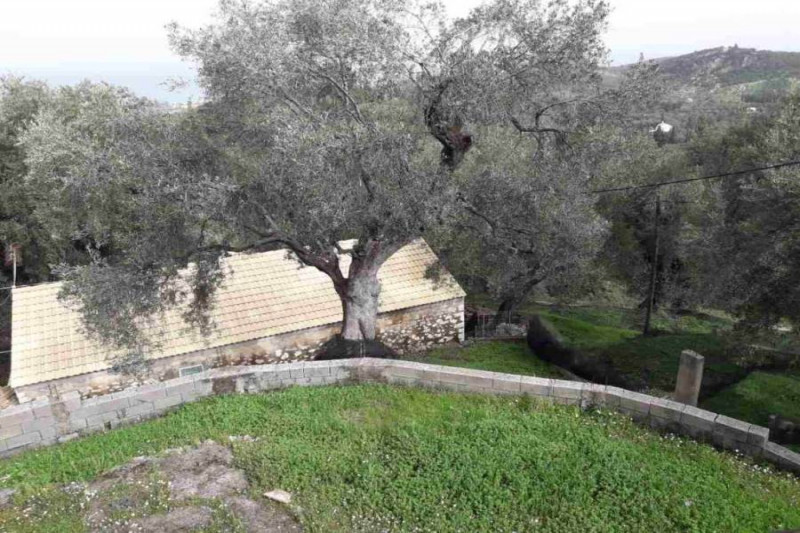 Cottage / House in Greece, in Agios Panteleimonas