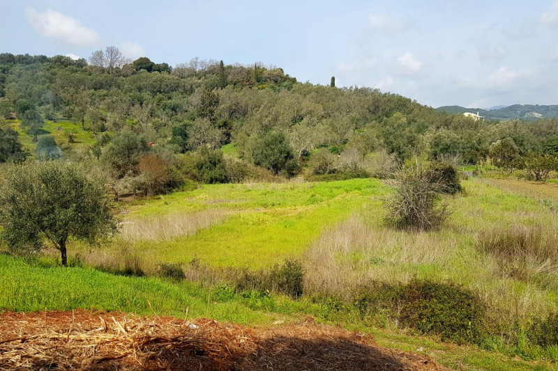 Plot in Greece, in Messonghi