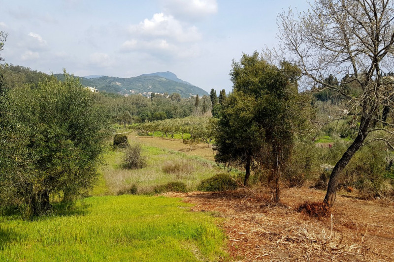 Plot in Greece, in Messonghi