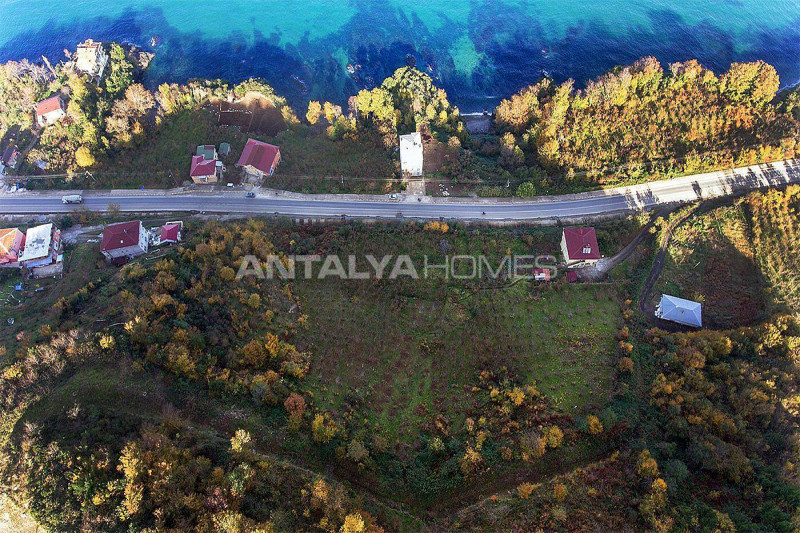 Villa in Turkey, in Araklı