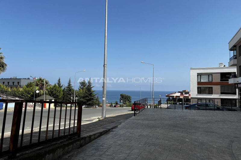 Коммерческая недвижимость в Турции, в Ортахисаре