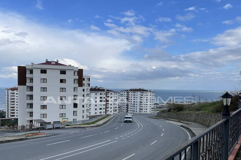 Коммерческая недвижимость в Турции, в Акчаабате
