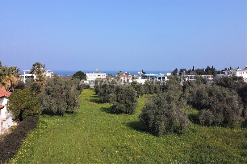 Вилла на Северном Кипре, в Гирне (Кирении)