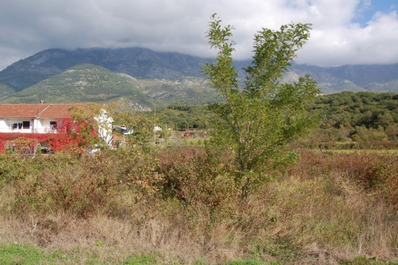 Участок в Черногории, в Радановичах