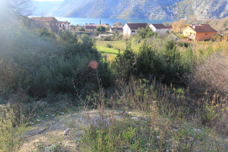 Участок в Черногории, в Рисане