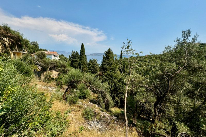 Plot in Greece, in Corfu