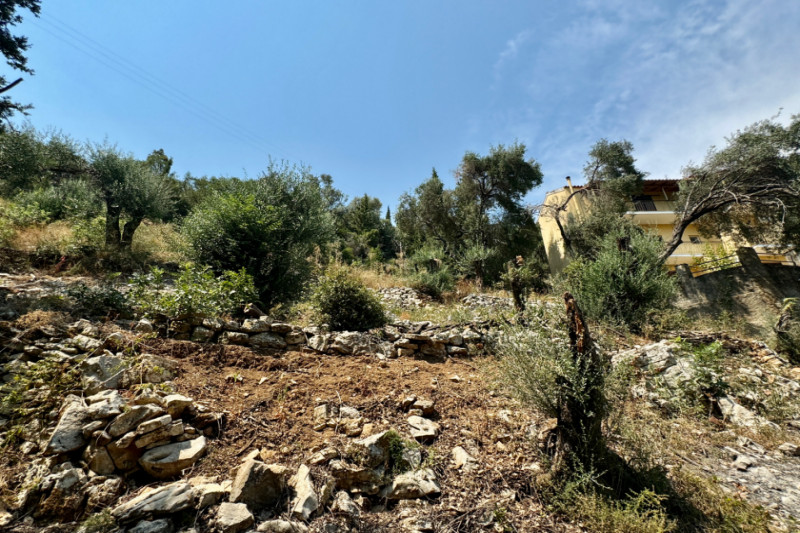 Plot in Greece, in Corfu