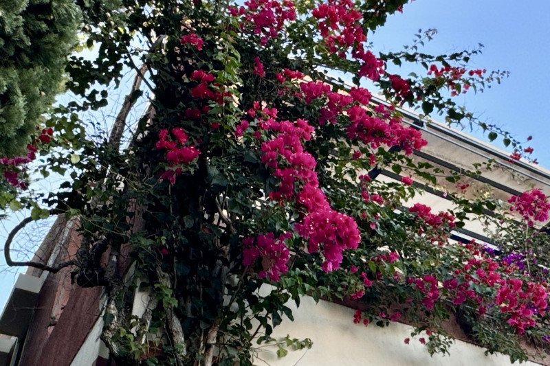 Town House in Greece, in Corfu